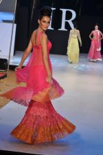 Model walk the ramp for Neeta Lulla Show at IRFW 2012 Day 2 in Goa on 29th Nov 2012 (34).JPG